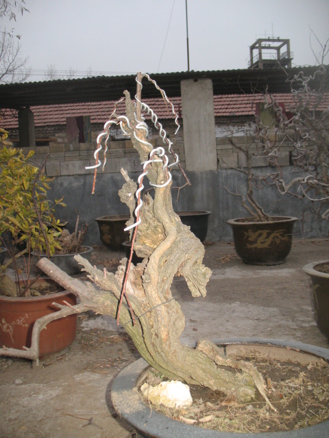IMG_4680.jpg