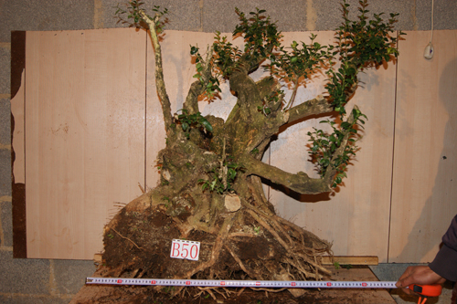 DSC03634.JPG