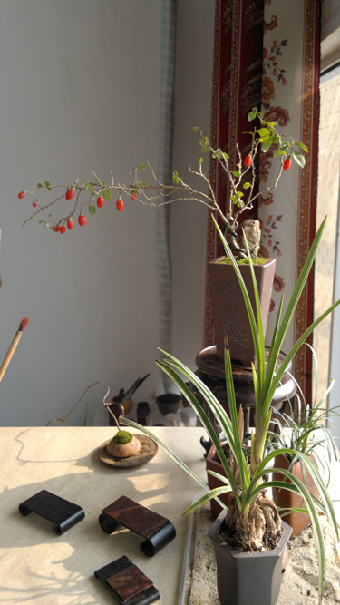 20111228546.jpg