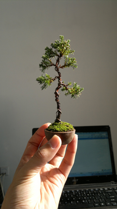 20111230549.jpg