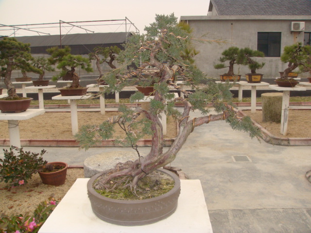DSC02826.JPG