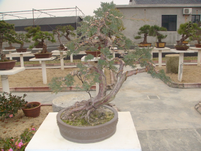 DSC02827.JPG