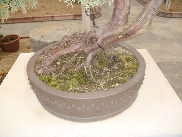 DSC02828.JPG