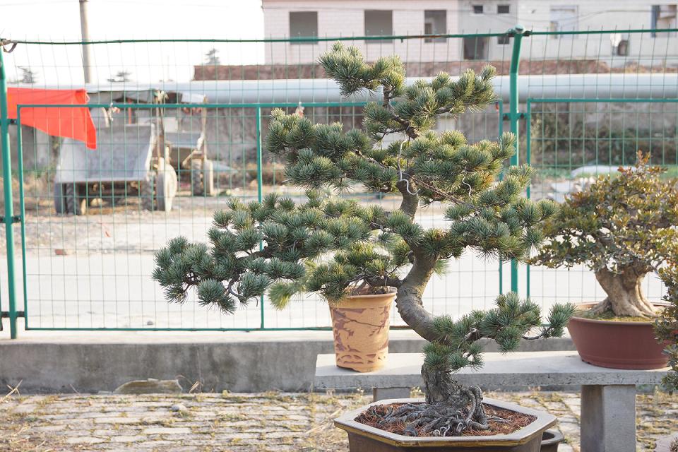 7.JPG