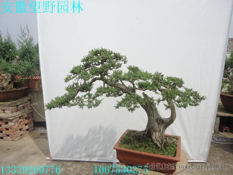 083613ofnw0eooo8obuxnq.jpg