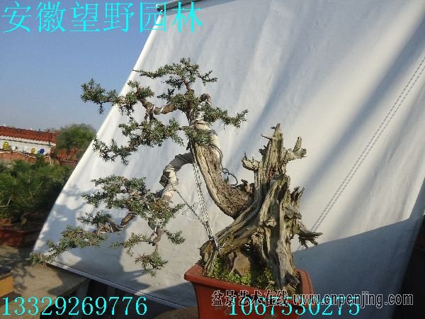 101112aojosjvutbqa4iaq.jpg