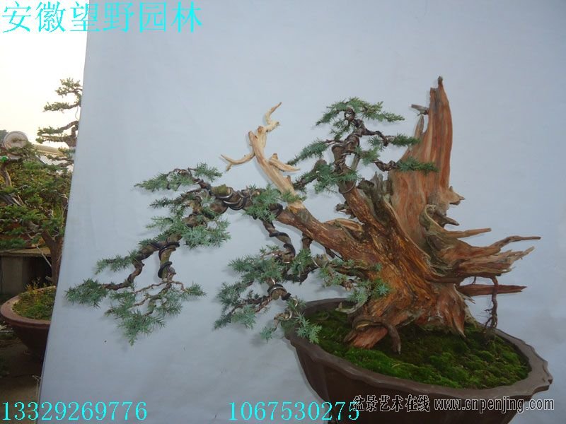 103037cc11fcmo1jhcxcmp.jpg