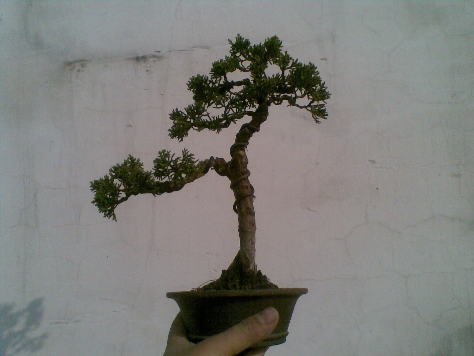 20120102(001).jpg