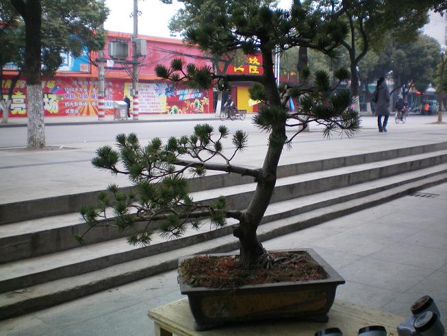 100_0820.JPG