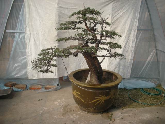 С DSCN4708.jpg