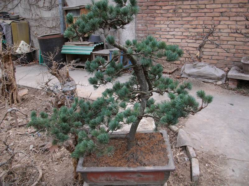 SANY0557.JPG