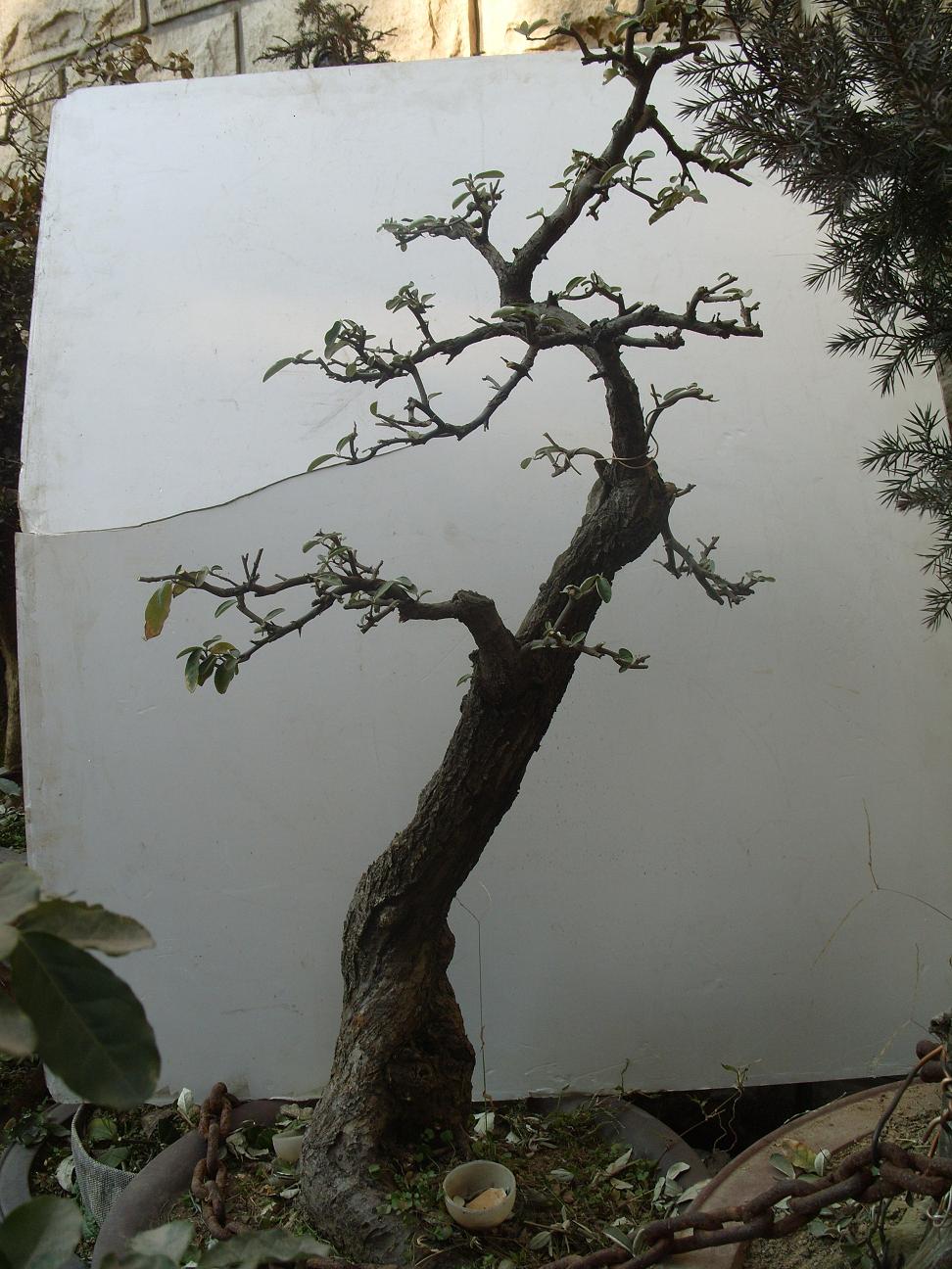 S1050390.JPG