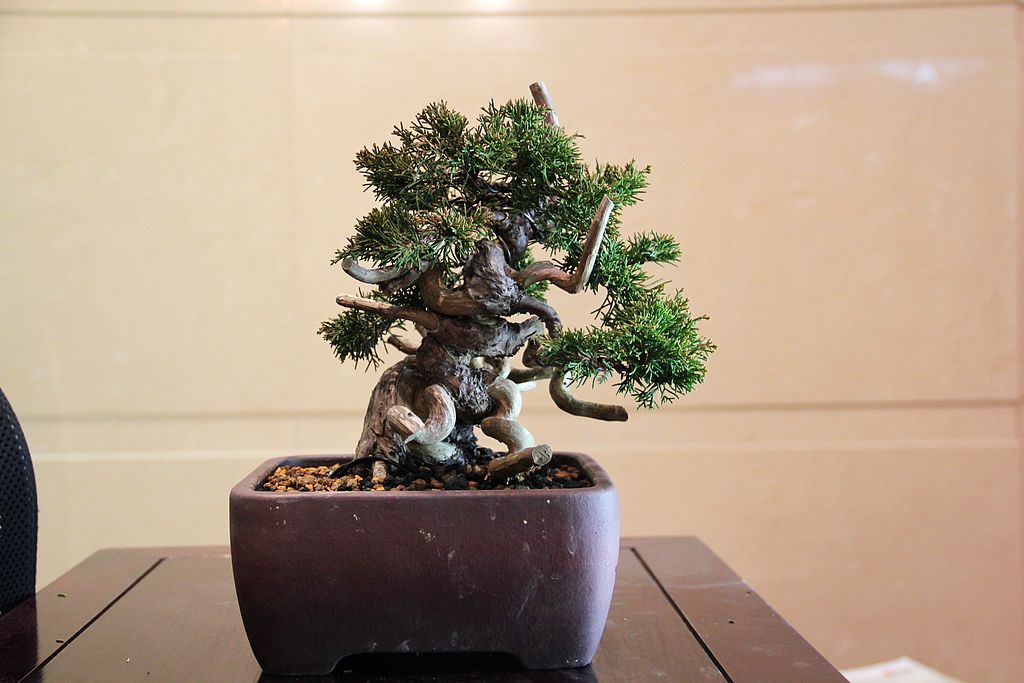 IMG_ϵ㴨6.jpg