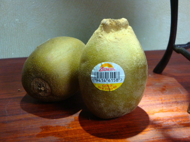 DSC07475.JPG
