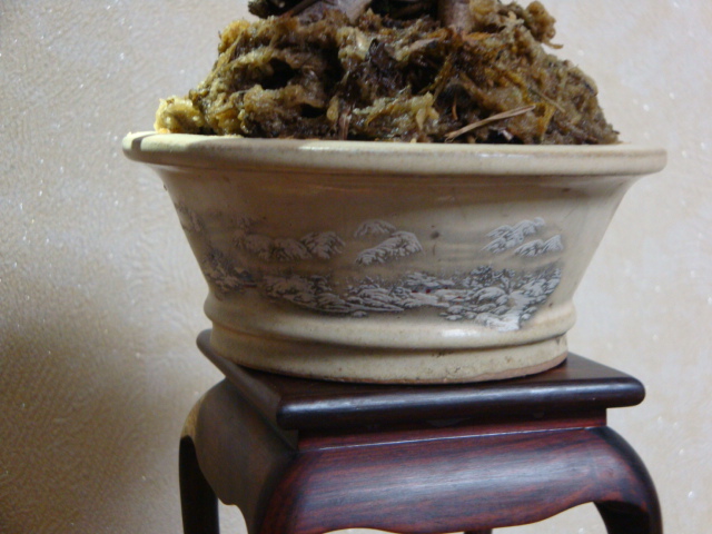 DSC07473.JPG