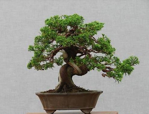 2008KaeWGXf4Ciy5.jpg