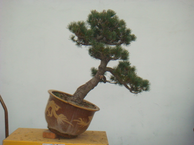 DSC08847.JPG