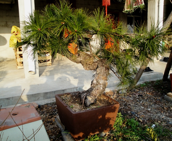 DSC08024.JPG