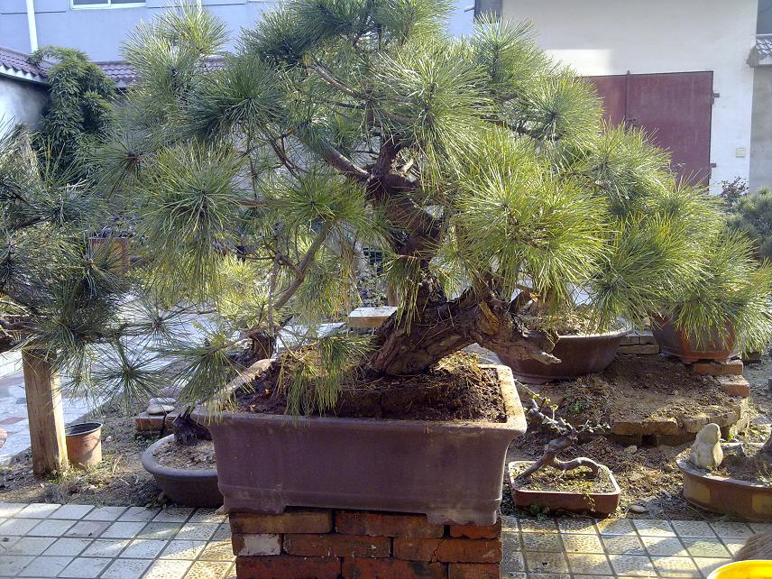 20111228074.jpg