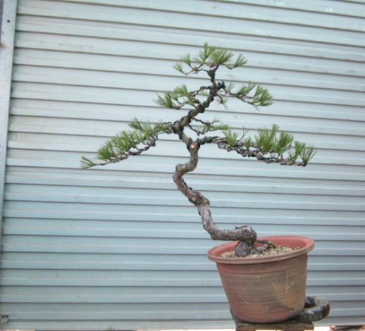 L(CLPGVH8B1%BOJCQ3PD900.jpg