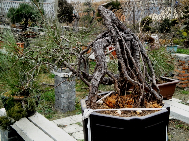 DSC08072.JPG