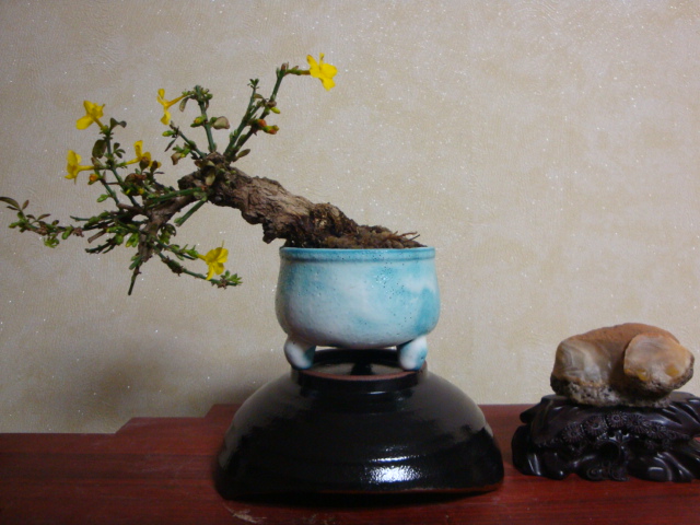 DSC07320.JPG