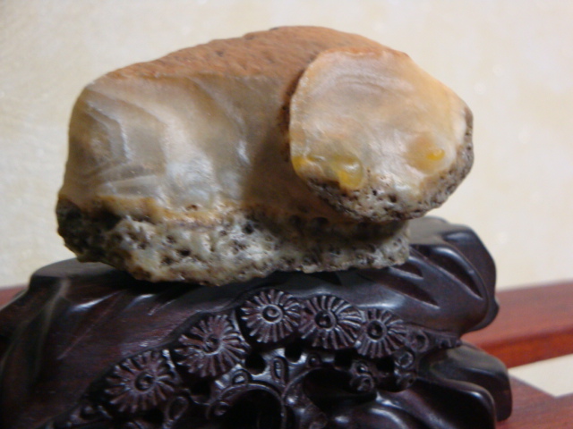 DSC07324.JPG