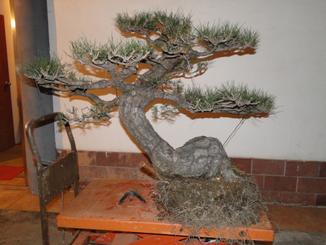 DSC07283.JPG