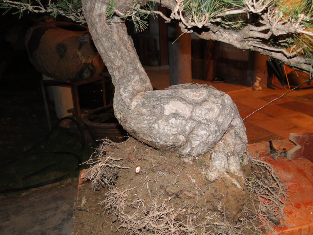 DSC07288.JPG