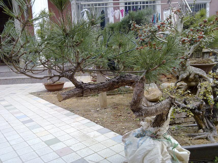 20120111091.jpg