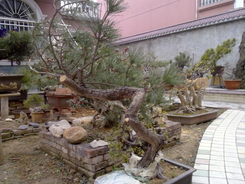 20120111096.jpg