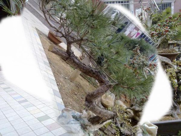 20120111091.jpg.thumb.jpg
