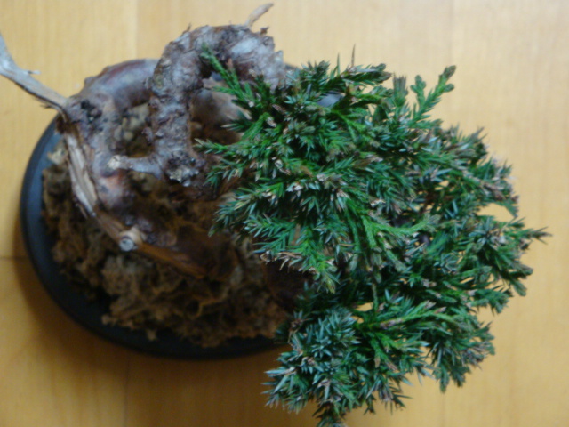 DSC07340.JPG