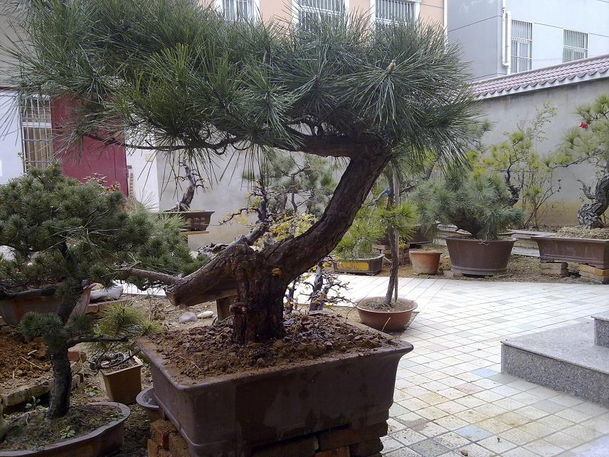 20120103085.jpg