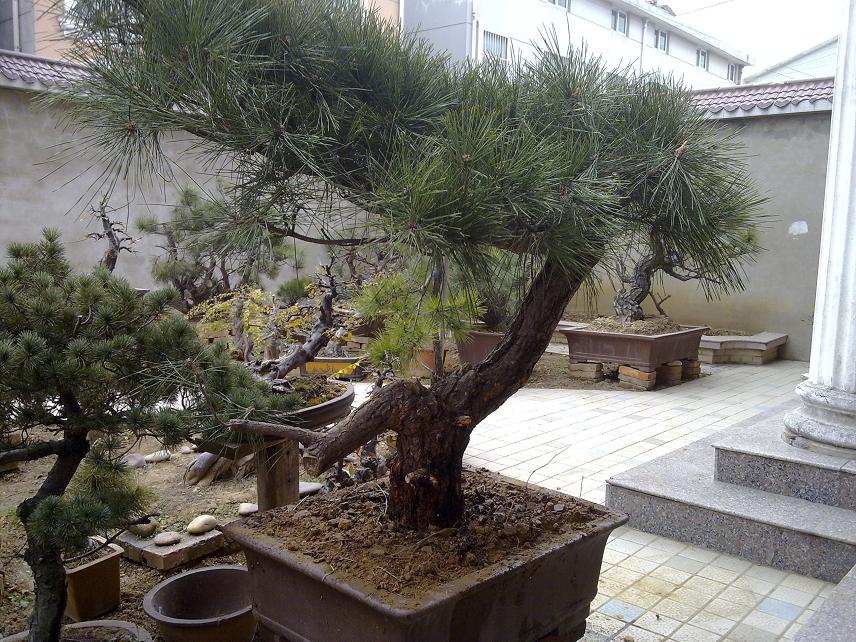 20120103086.jpg