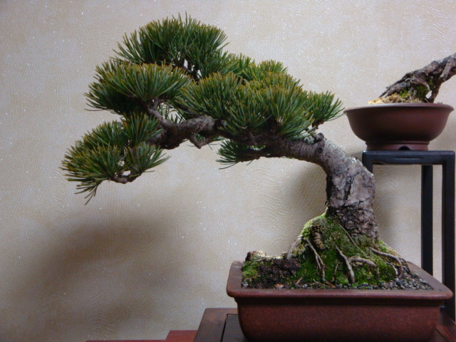 DSC07502.JPG