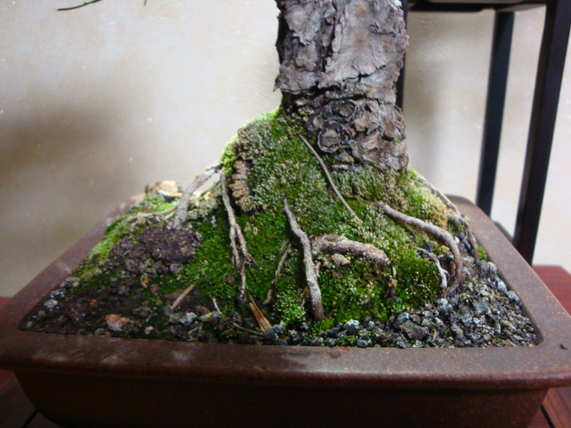 DSC07504.JPG