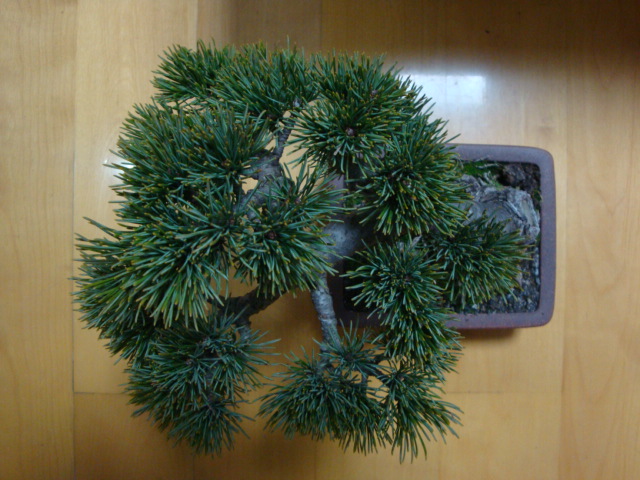 DSC07505.JPG