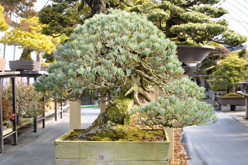 DSC0094-L.jpg