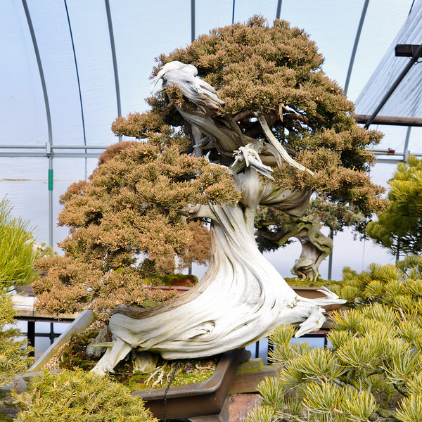 DSC0101-L.jpg