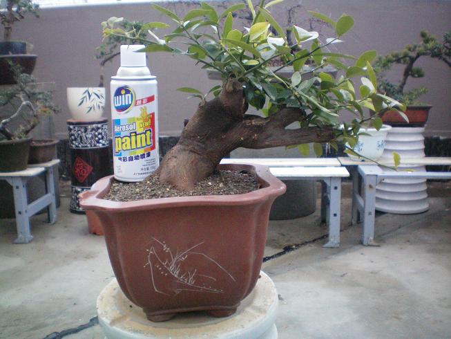 100_0826.JPG
