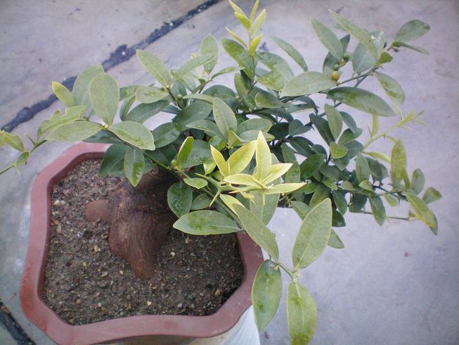 100_0830.JPG