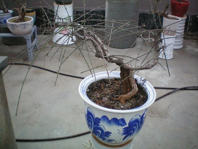 100_0834.JPG