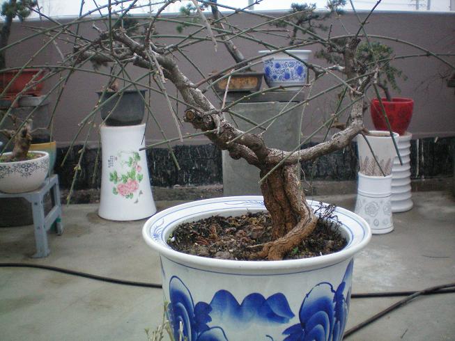 100_0835.JPG
