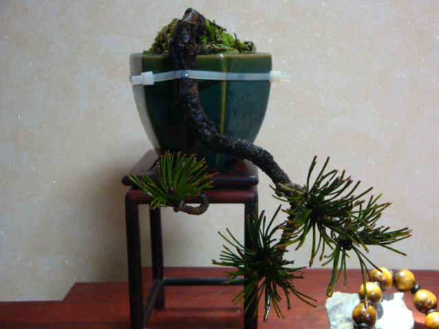 DSC07514.JPG