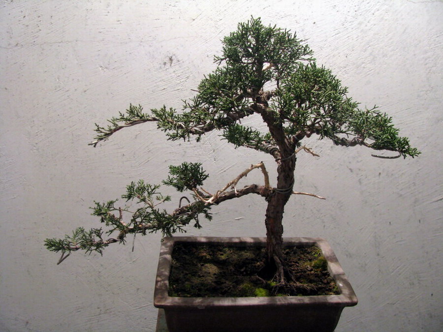 20120116 0001.jpg