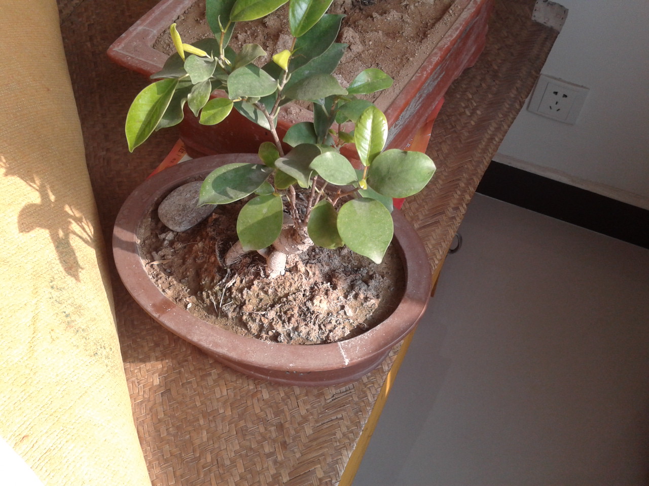 2012-01-07 12.06.14.jpg