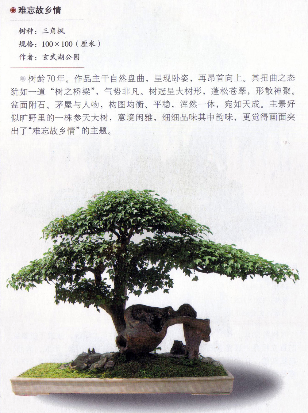 ԰顷Ƿ.jpg