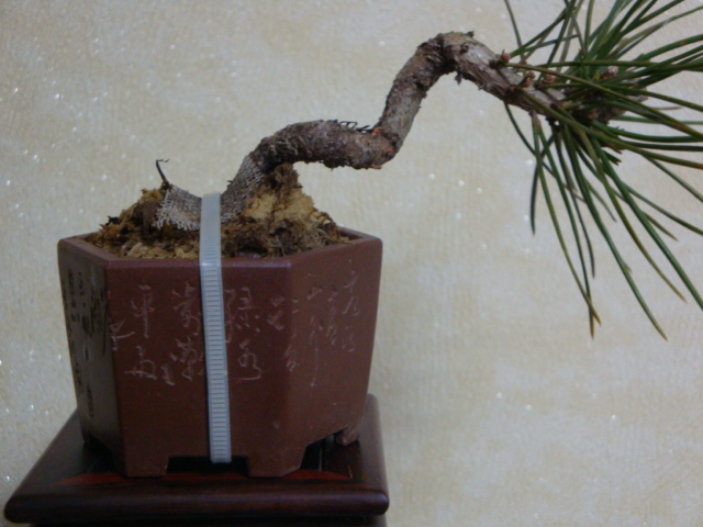 DSC07344.JPG