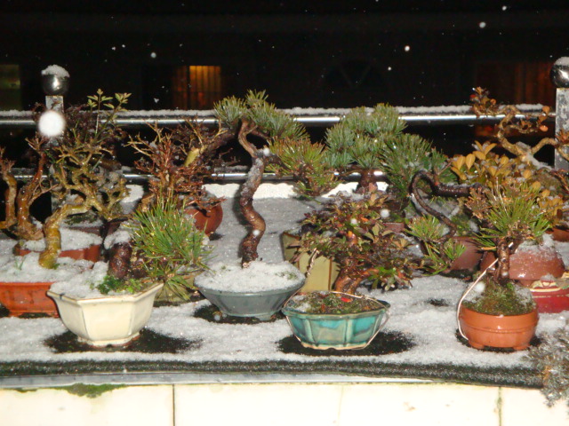 DSC07532.JPG